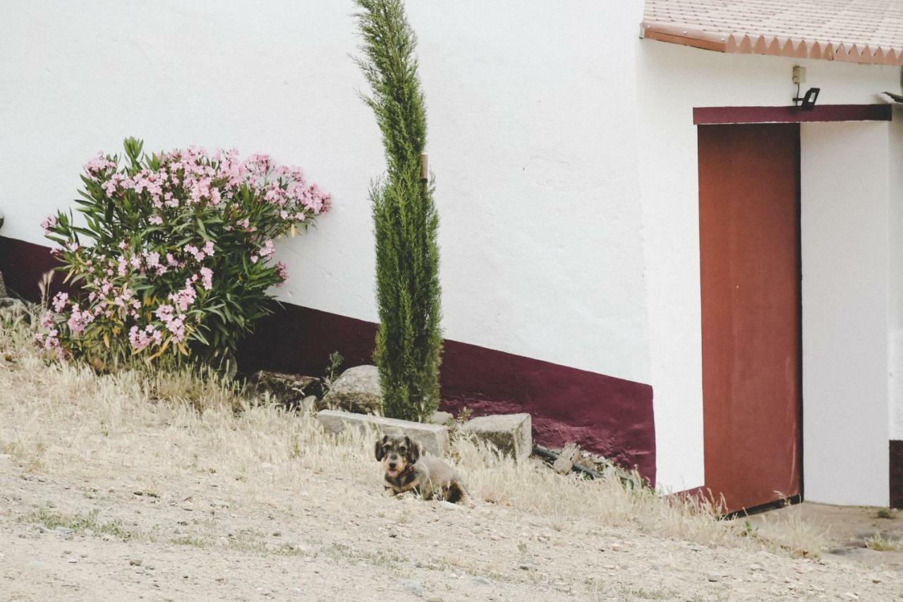 Casas Da Faia - Nature Guest House アロンシェス エクステリア 写真