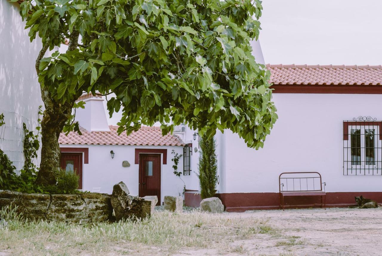 Casas Da Faia - Nature Guest House アロンシェス エクステリア 写真