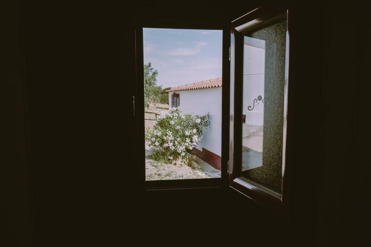 Casas Da Faia - Nature Guest House アロンシェス エクステリア 写真